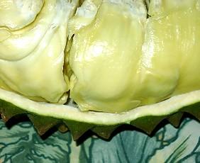 Horlor Variety of Durian